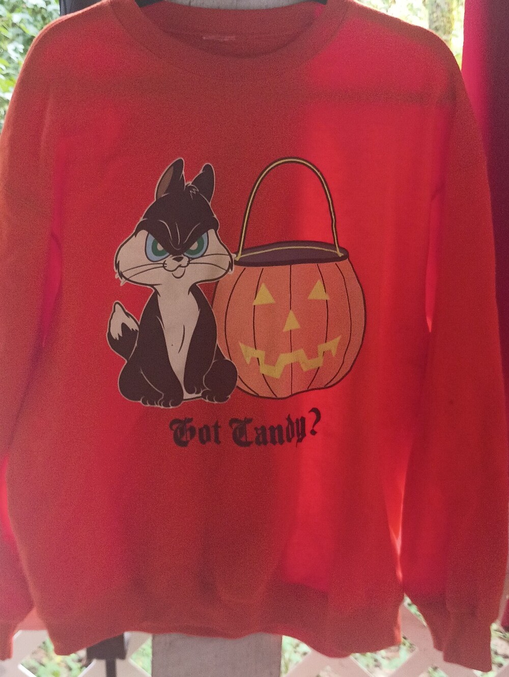 Vintage Looney Tunes Halloween Sweatshirt